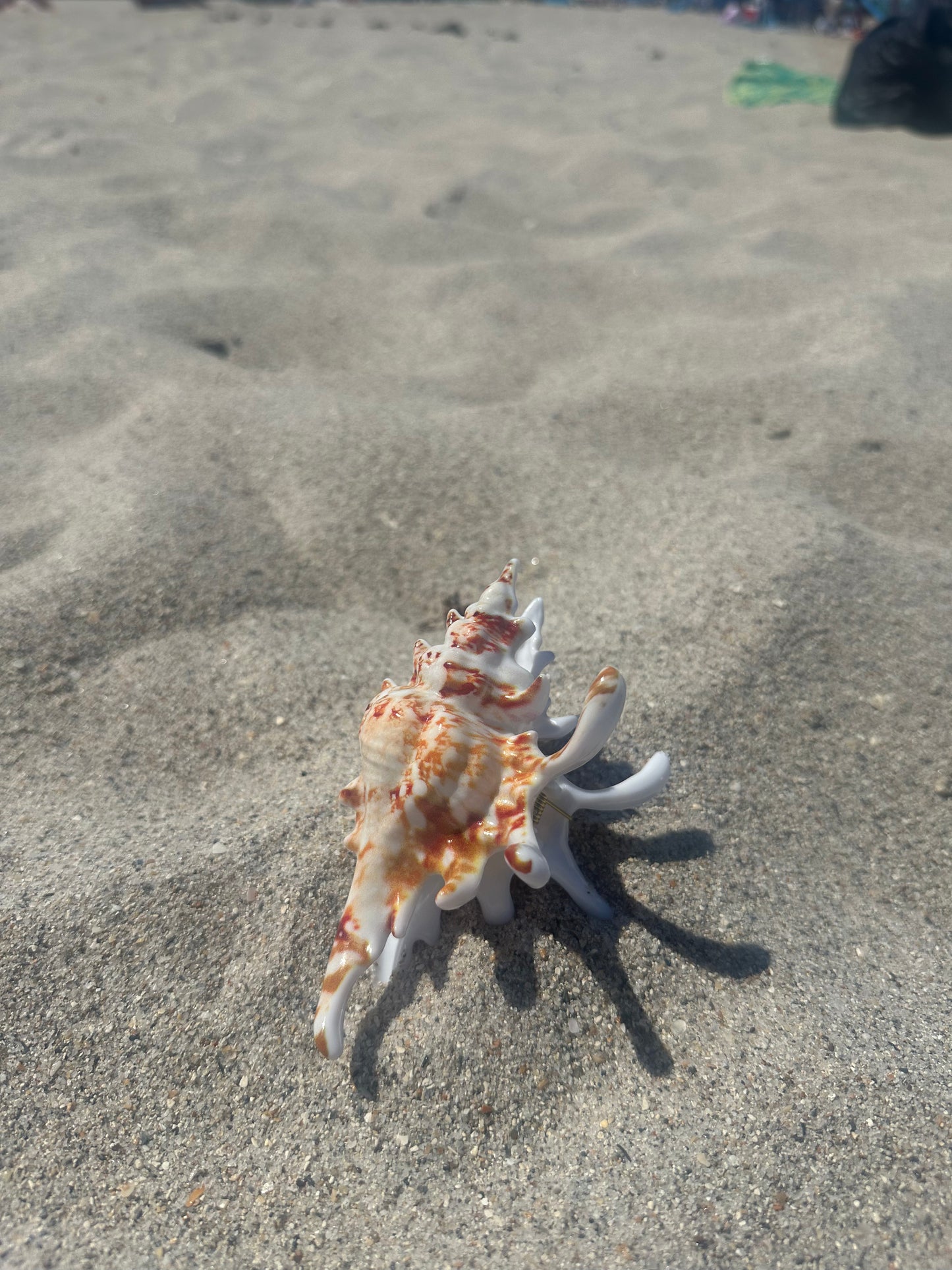 Spider Conch Claw Clip